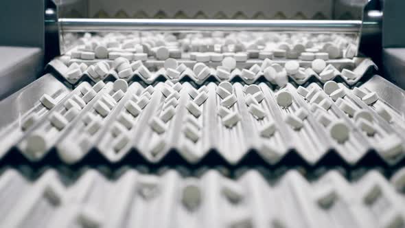 Conveyor Machine with Pills Moving Along Its Stages alt
