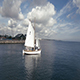 Aerial Of Sailboats Part 1 - VideoHive Item for Sale