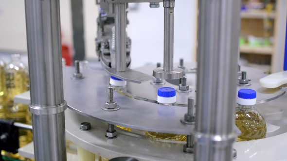 Sunflower Oil In The Bottle Moving On Production Line In a Factory Put On Caps