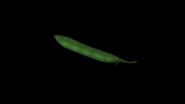 Animation of a spinning beans peas on a black background