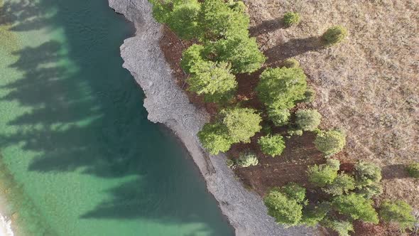 Aerial view looking down at tree shadows on the Snake River alt