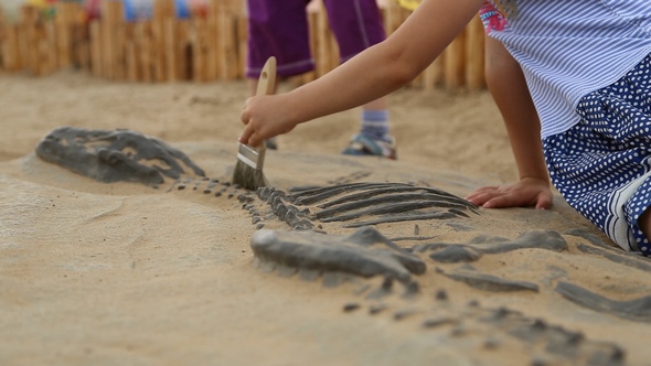 Archaeological Excavation of Dinosaur Bones alt