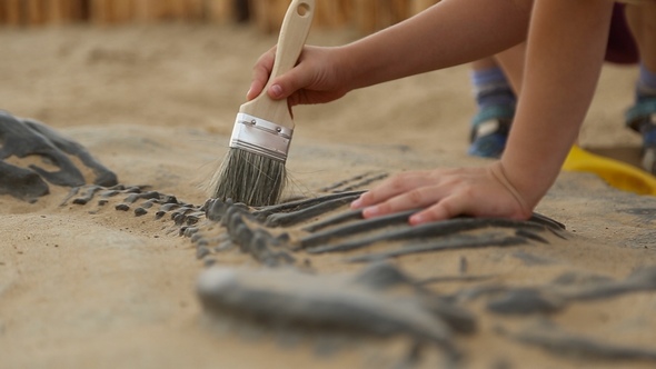 archaeologist digging dinosaur bones