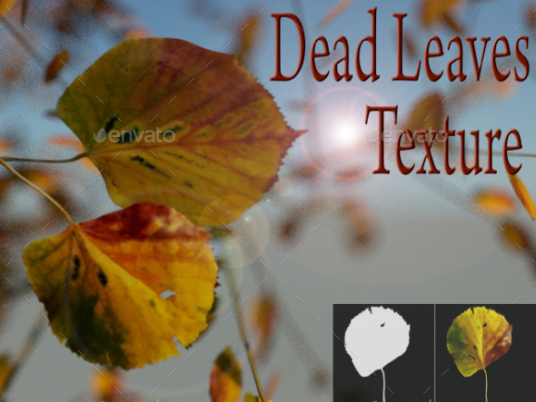 Dead Leaves - 3Docean 18248425