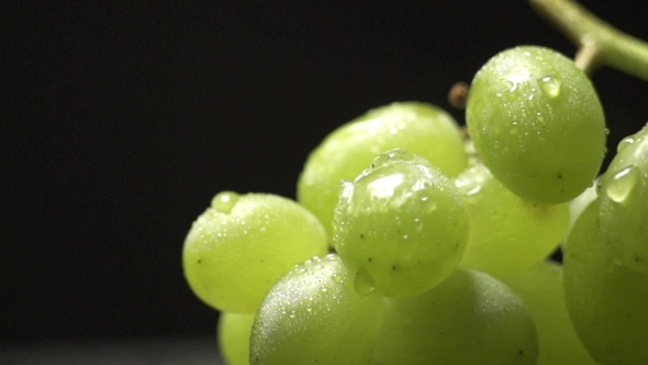 Bunch Of Green Grapes On a Black Background With Water Drops