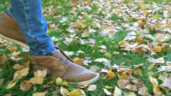 Walking In Autumnal Foliage alt