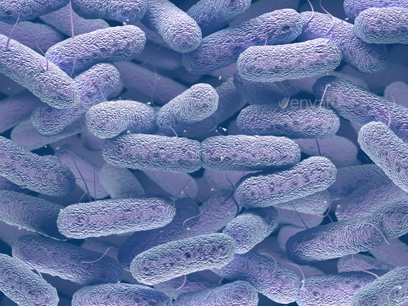 Enterobacteriaceae Bacteria Family Stock Photo by ktsimage | PhotoDune