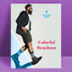 Colorful Business Brochure