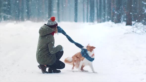 Young Happy Woman Train Her Border Collie Dog in Snowy Winter Forest. Doggy Wrap Itself in Blue alt