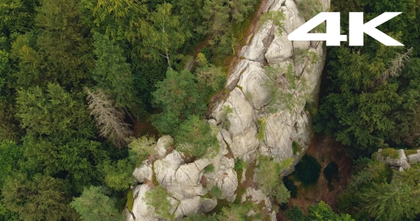 Aerial Shot Beautiful Landscape With Forest and Cliff