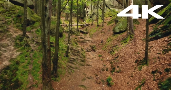 Aerial Shot Beautiful Landscape With Forest And Cliff