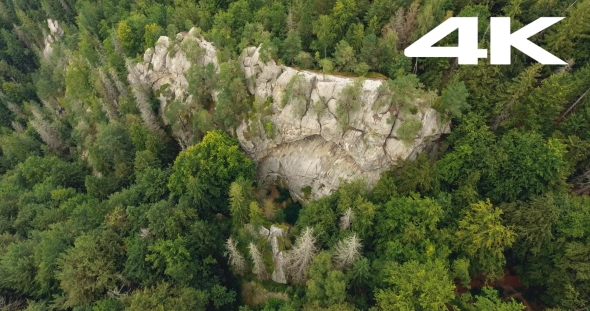 Aerial Shot Beautiful Landscape With Forest and Cliff