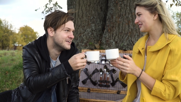 Family Picnicking In The Park alt