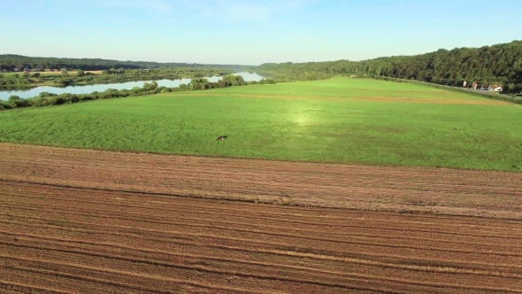 Aerial Landcape Of River In Green Meadows