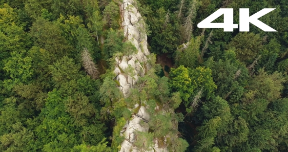 Aerial Shot Beautiful Landscape With Forest and Cliff