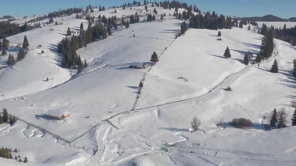 Aerial view of hills with fir trees during winter alt