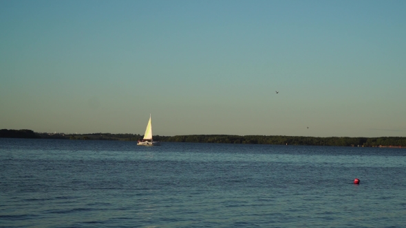 Small Sailing Boat on the Water