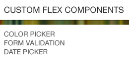 Custom Flex Components