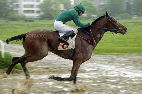 Horse racing in Nalchik.