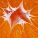 Rotating Half Of a Ripe Tangerine - VideoHive Item for Sale