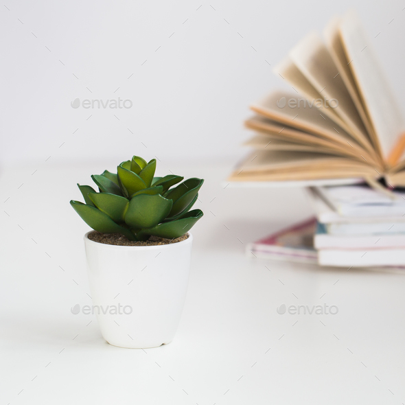 stack of books with artificial of plant on a white background - Stock Photo - Images