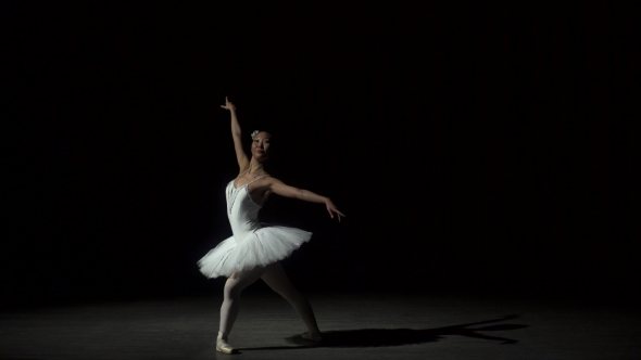 Graceful Woman Dancing Ballet alt