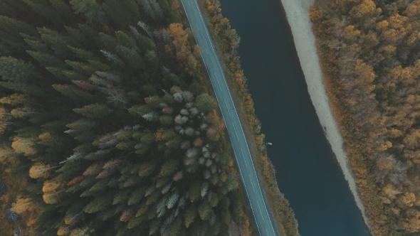 Aerial Of Nature. River Parallel To The Road. Tree Crown.