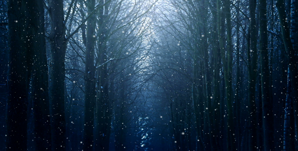 Winter Night Background