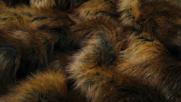 Brown Fur Material Moving Shot alt
