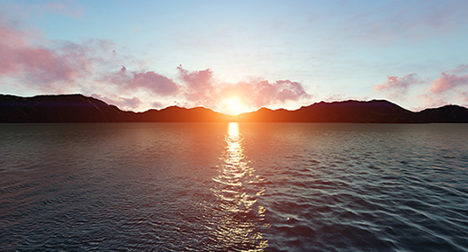 Nature Motion Graphics