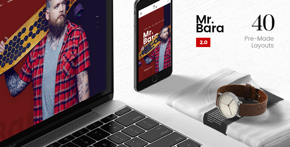 Mr.Bara A - ThemeForest 17049761