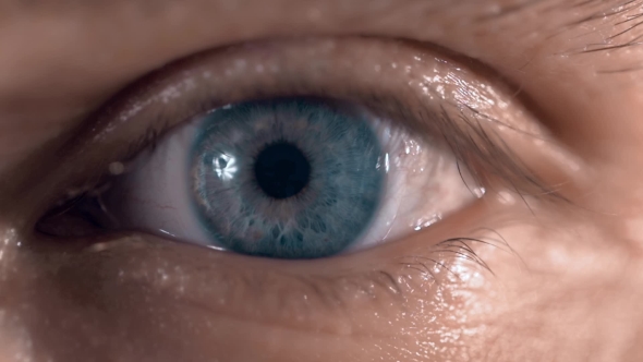 Amazing Blue Eyes With No Color Retouch, Stock Footage | VideoHive