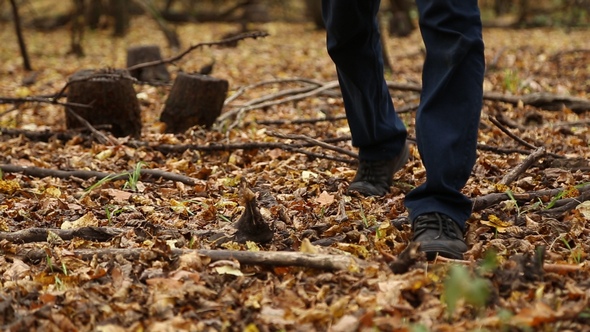A Man Walks in Autumn Forest alt