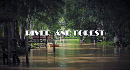 RIVER AND FOREST FOOTAGE COLLECTION
