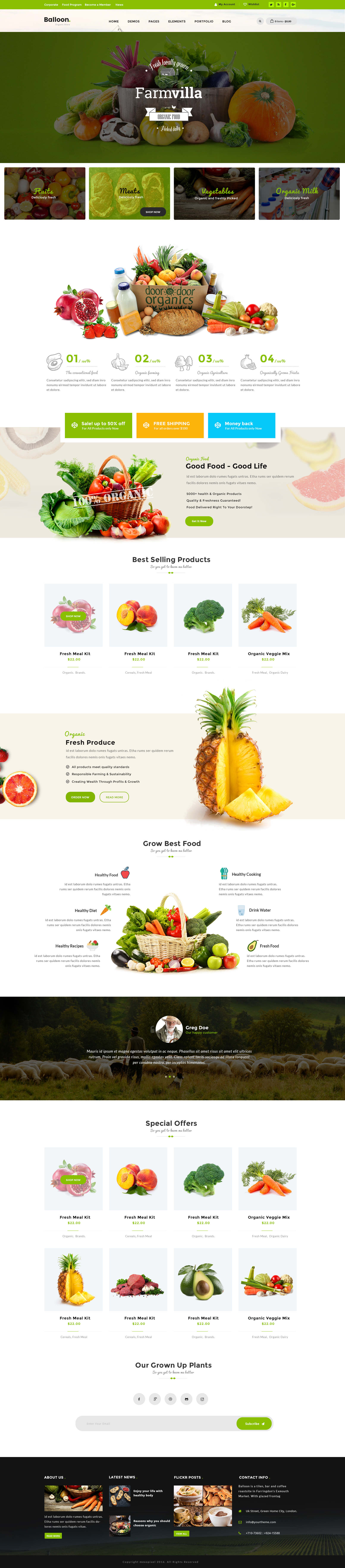 Balloon | Organic Farm & Food Business PSD Template by mexopixel ...