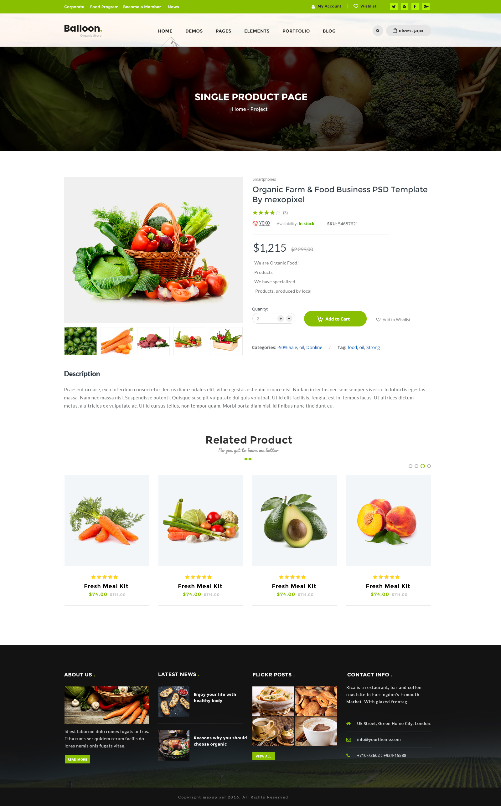 Balloon | Organic Farm & Food Business PSD Template by mexopixel ...