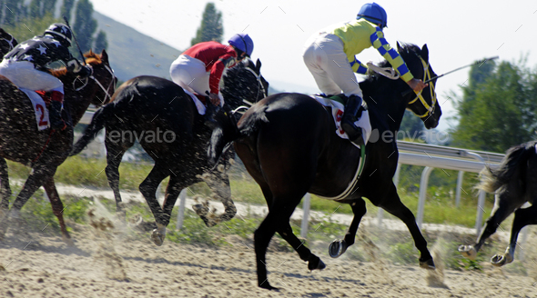 Horse racing in Pyatigorsk.