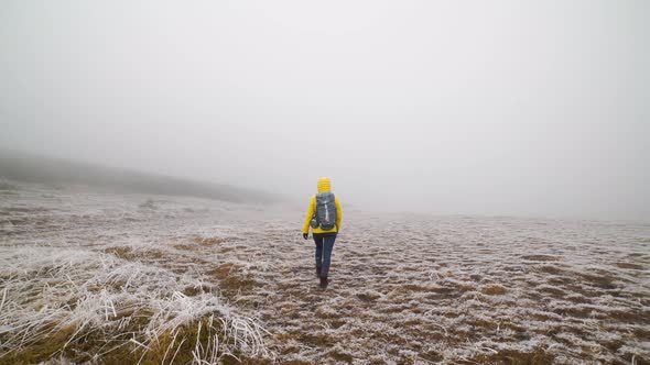 Person Walking on Frozen Ground in Foggy Weather