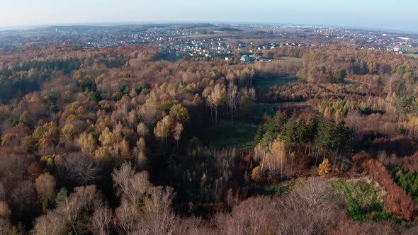 Forest in Fall Aerial
