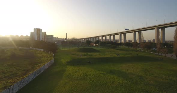 Park life soccer field alt