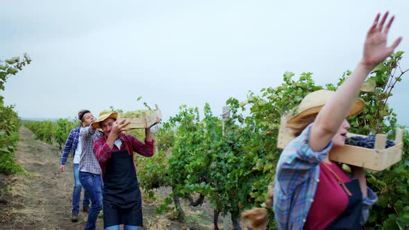 In Front of the Camera Attractive Lady and Other alt