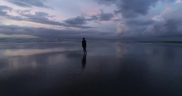 Aerial Shot Around Beautiful Woman on the Beach alt
