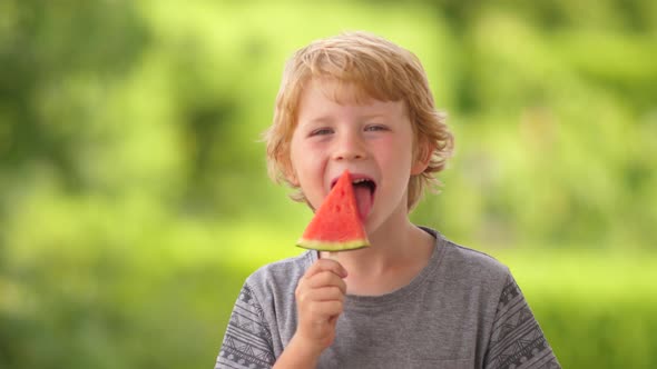 Young Blond Boy Eating Red Watermelon On Stick