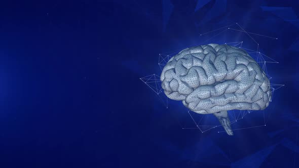 Rotating Brain On The Blue Background