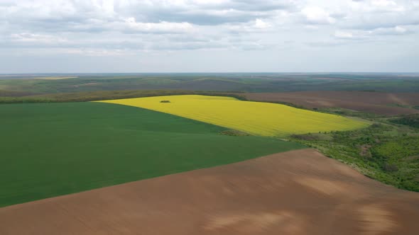 Rural area with yellow and green fields