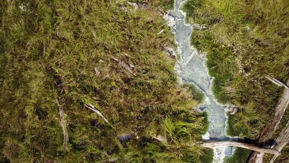 Top down view of hot spring flowing downstream alt