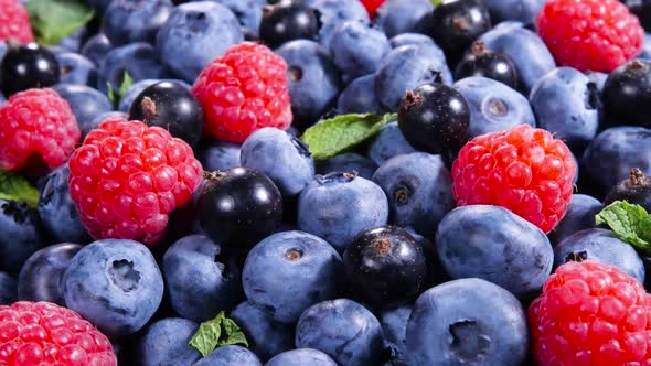 Berries Various Colorful Background Juicy Ripe Summer Berry alt