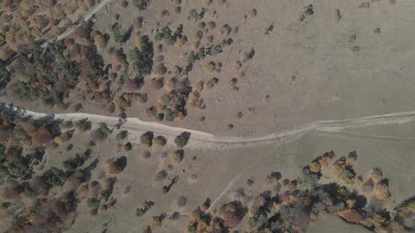 Flying over beautiful mountains in Bakuriani. Aerial view of Autumnal forest. Georgia alt