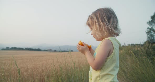Toddler Girl Eat Natural Juicy Orange Fruit Outdoors at Sunset Stands on Field alt