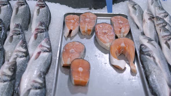 Closeup of Salmon Steaks in Ice on the Counter in a Grocery Store alt